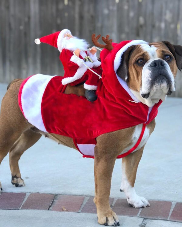 Dog Christmas Clothes Santa Claus Riding Deer