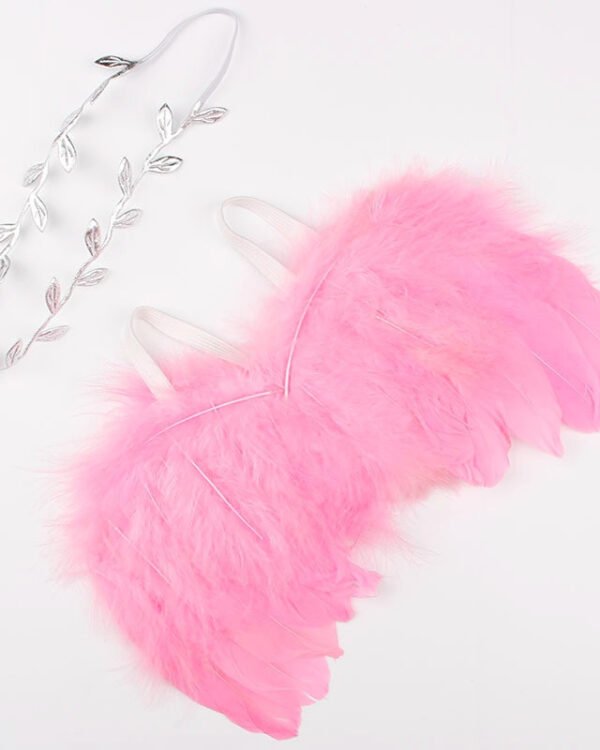 Newborn Angel Wing Photography Prop