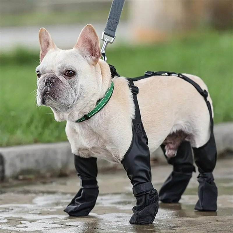 Waterproof Dog Shoes Adjustable Dog Boots Pet Breathbale Shoes For Outdoor Walking Soft French Dog Shoes Pets Paws Protector Pet Products - Image 8