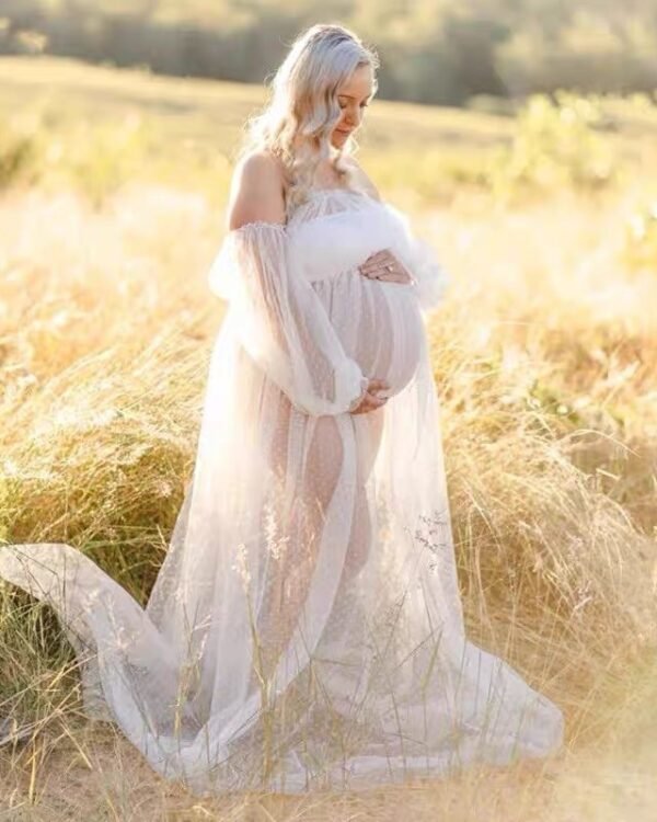 Photoshoot Sheer Mesh Maternity Gown