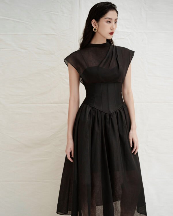 Corset Waist Sheer Pleated Dress