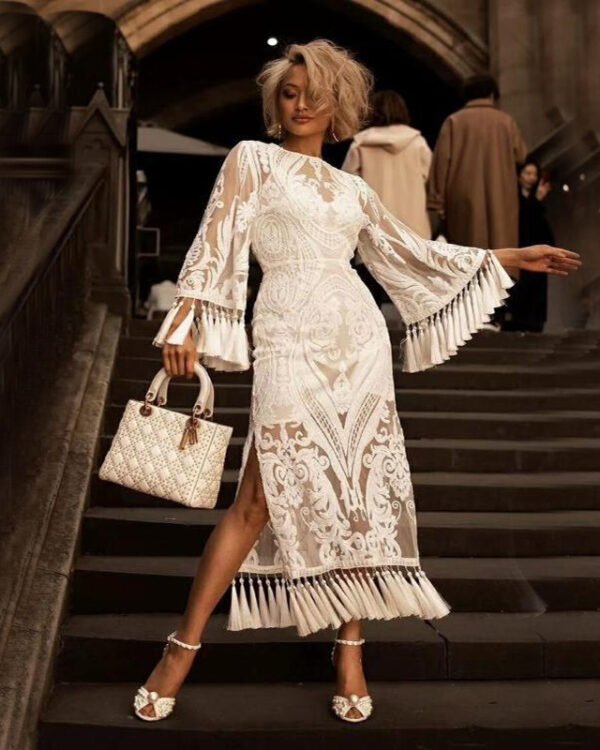 Celeste Fringe Lace Statement Dress