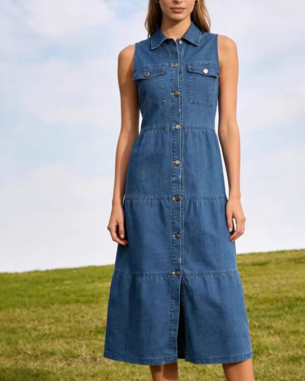 Urban Tide Button Denim Dress